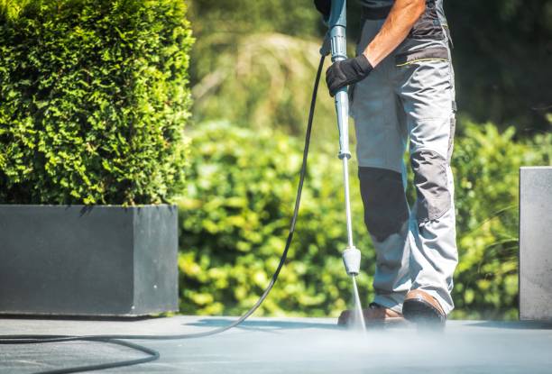 Best Rust Removal  in Riverside, IL